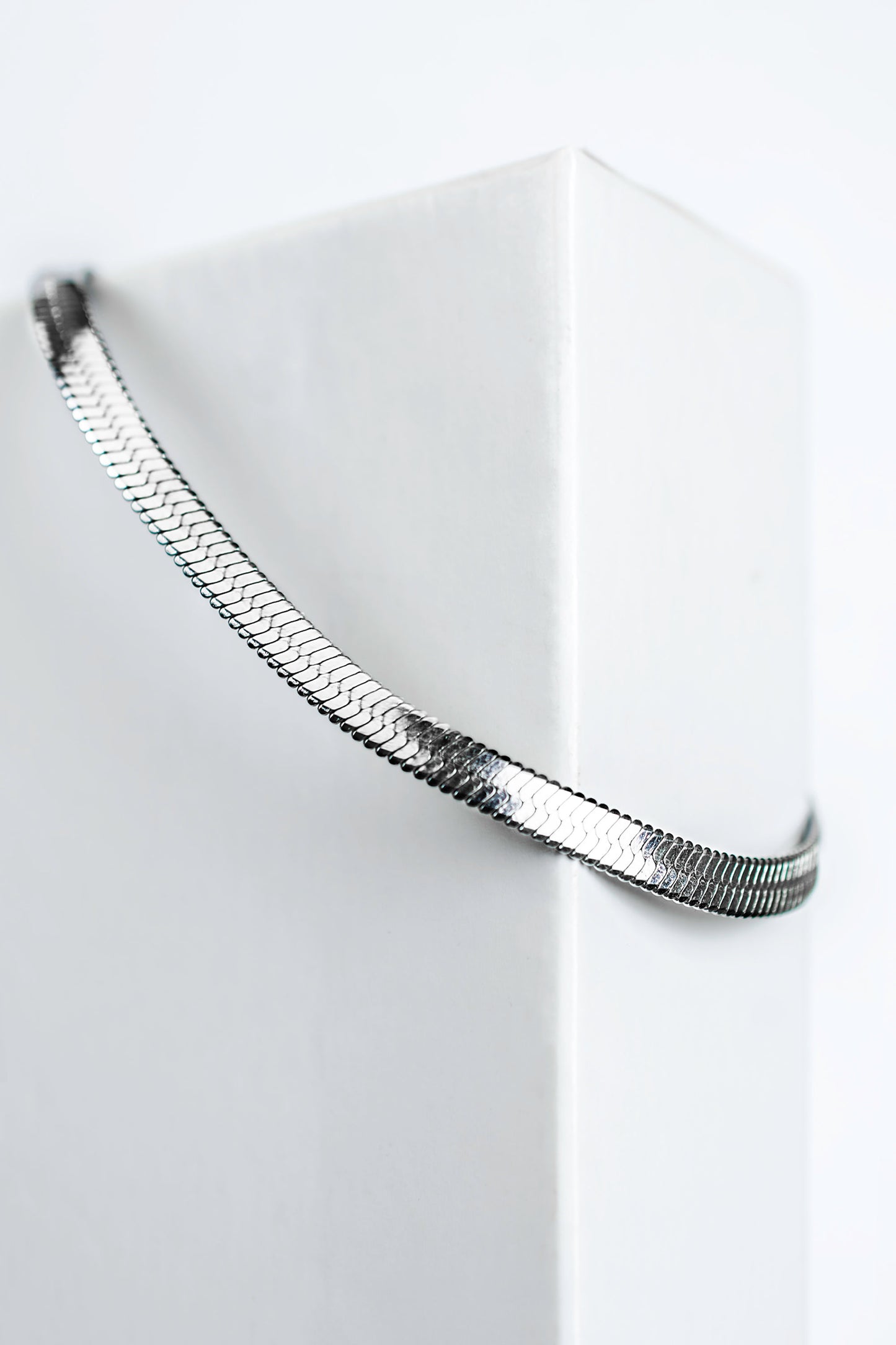 Snake Chain Anklet