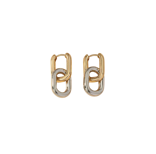 Double Oval Hoop
