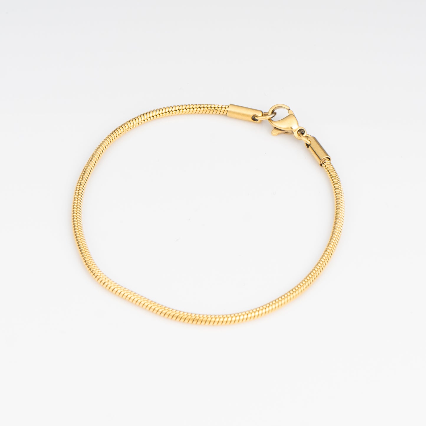 Round Snake Chain Bracelet