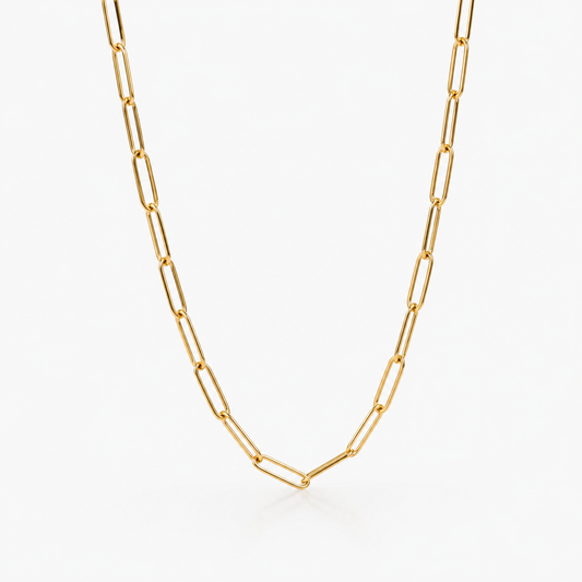 Paperclip Necklace