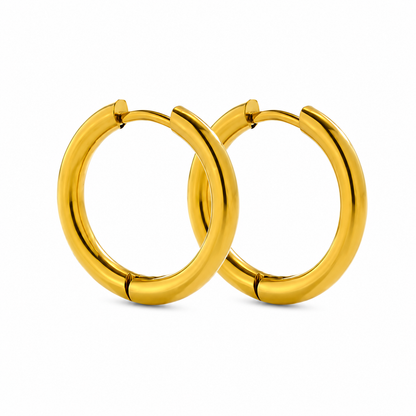 Small Gold Hoop Earrings
