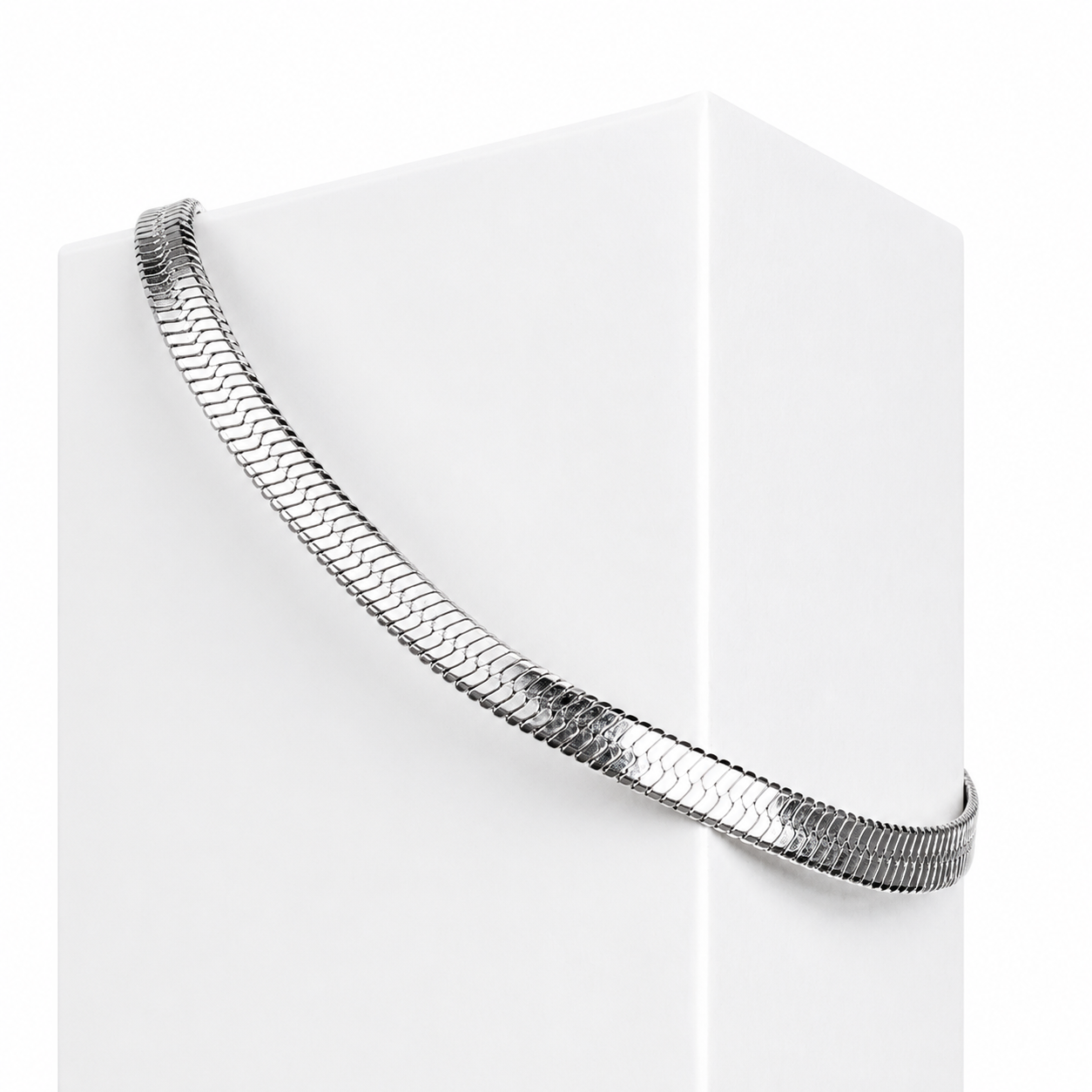 Snake Chain Anklet